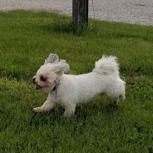 Meet your Posher, Shelly